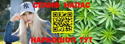гашик Гусь-Хрустальный