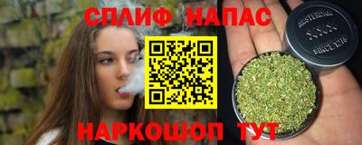 jwh Гусев
