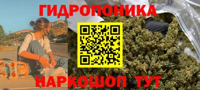 jwh Гусев