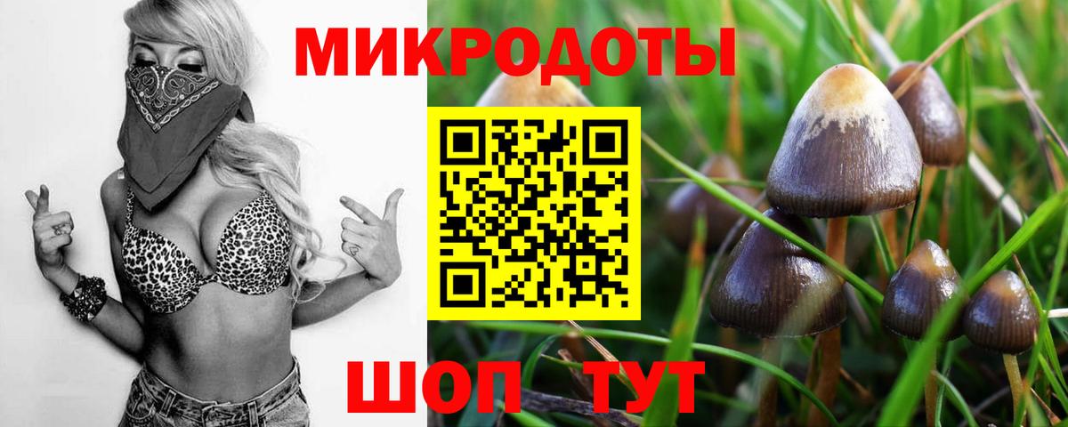 Кыштым  Галлюциногенные грибы Cubensis  Вход с VPN  Галлюциногенные грибы Psilocybe 